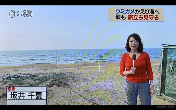 ウミガメの産卵を海岸でレポートする坂井千夏