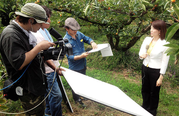 野外でのレポート